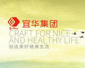 汕头宜华生活科技公司